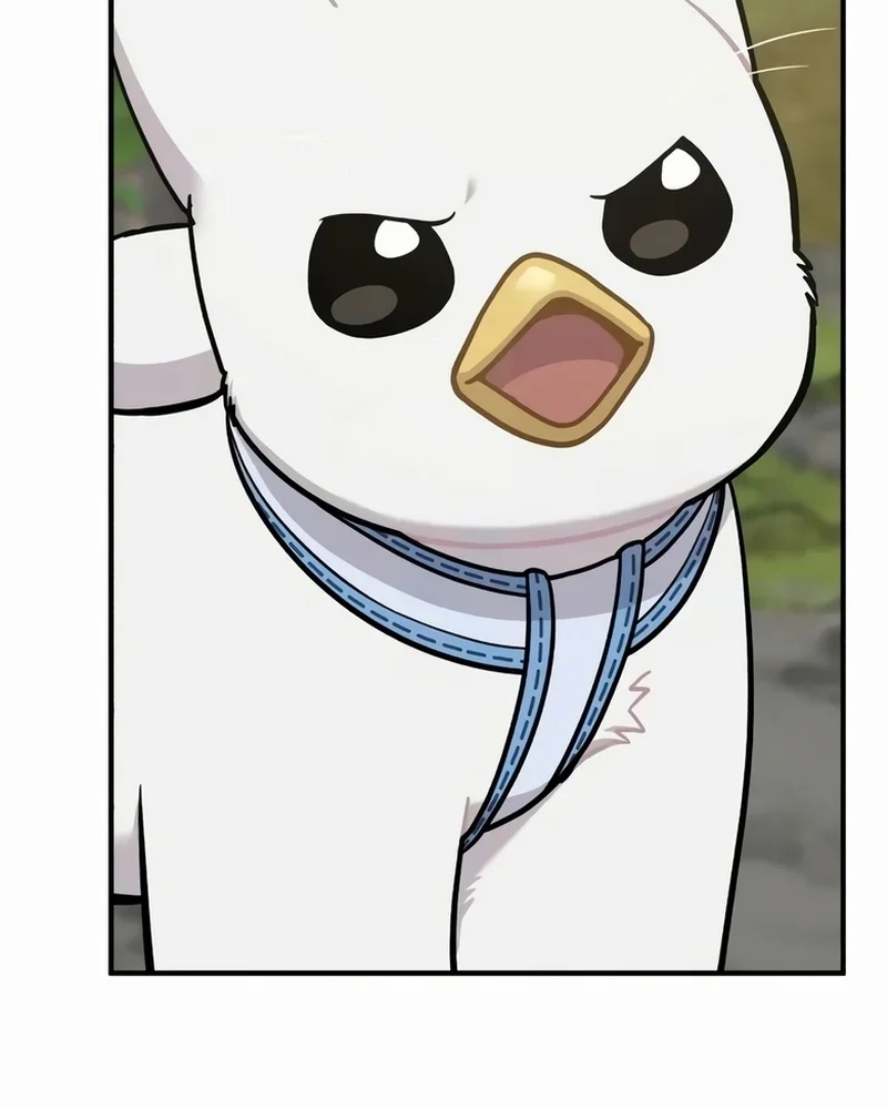 Olá, Griffin, o pássaro Fofinho! capitulo 25 pagina 34