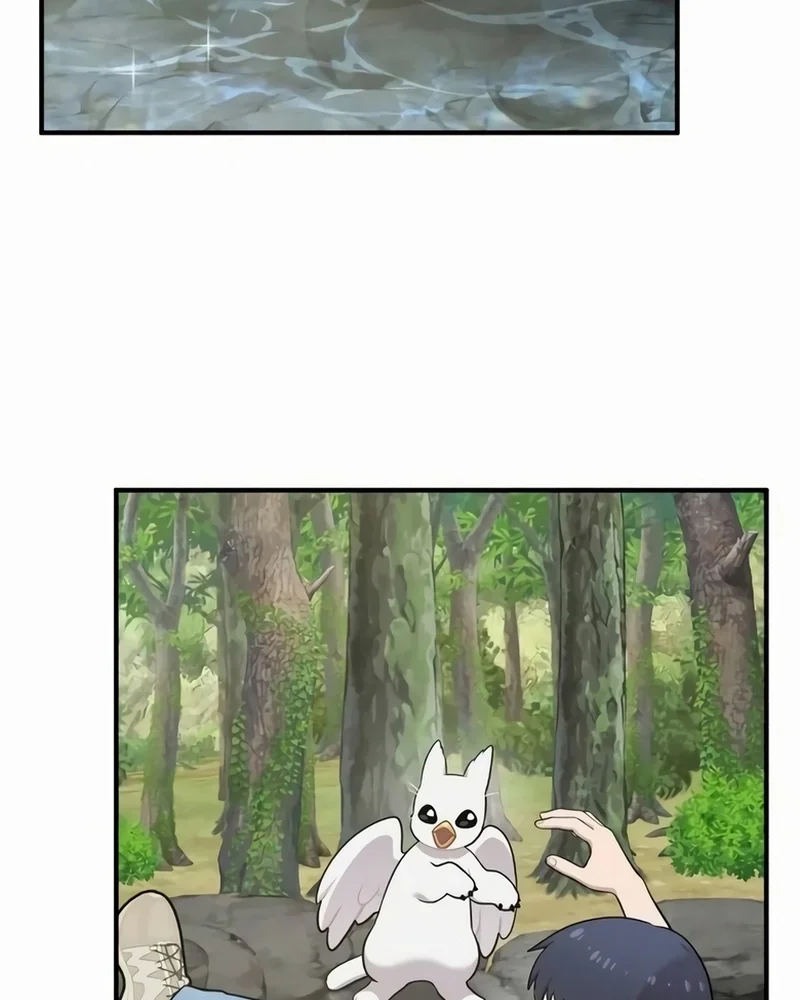 Olá, Griffin, o pássaro Fofinho! capitulo 25 pagina 68