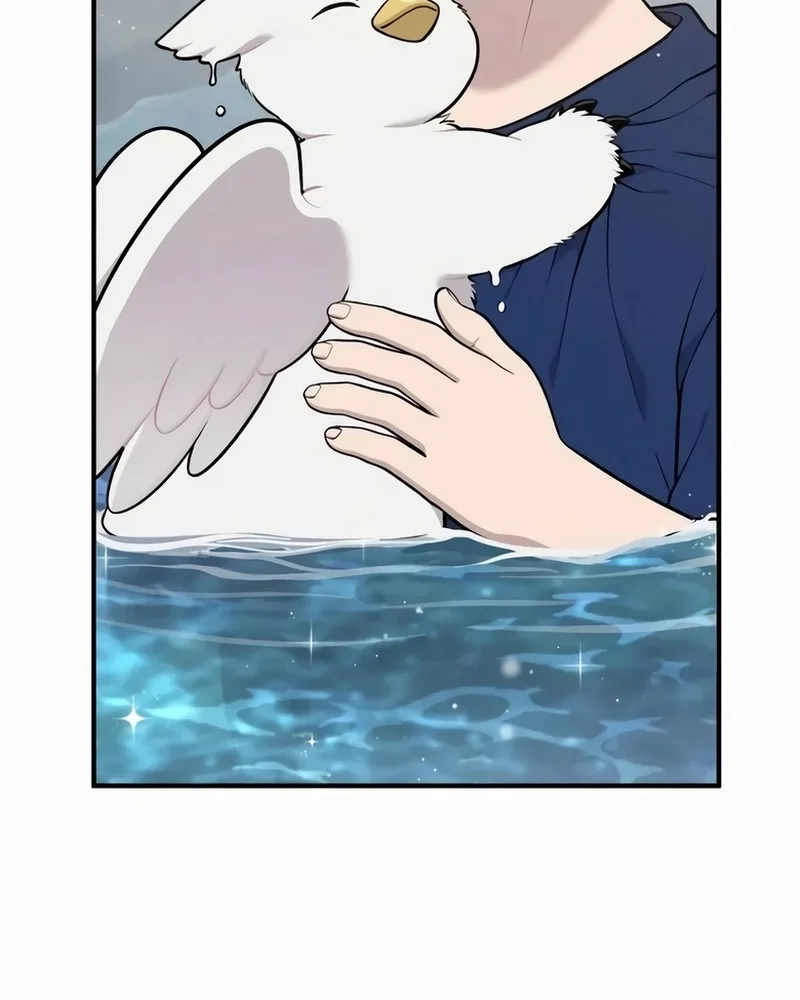 Olá, Griffin, o pássaro Fofinho! capitulo 25 pagina 93