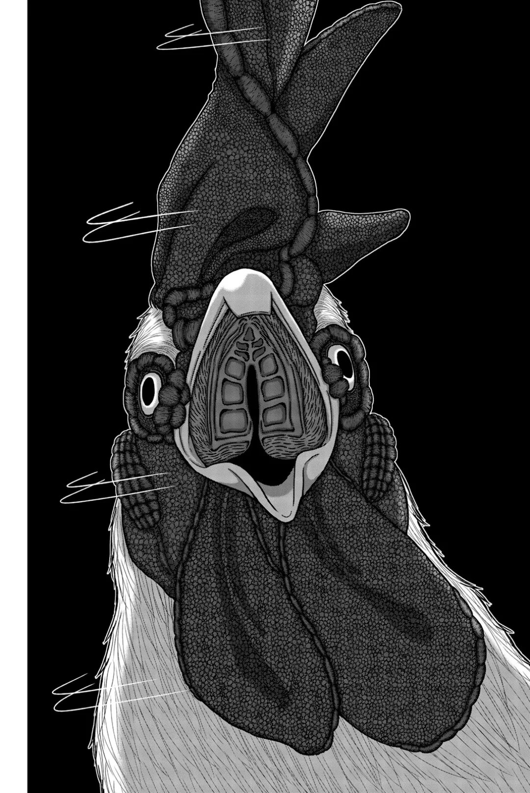 O Rei das Galinhas: O Orfanato AmeaÃ§ado capitulo 1 pagina 43