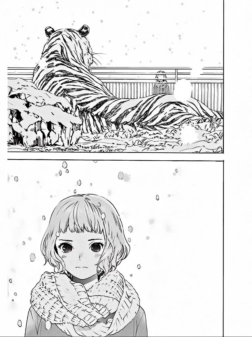 JoseÃ©, o Tigre e os Peixes capitulo 10 pagina 15