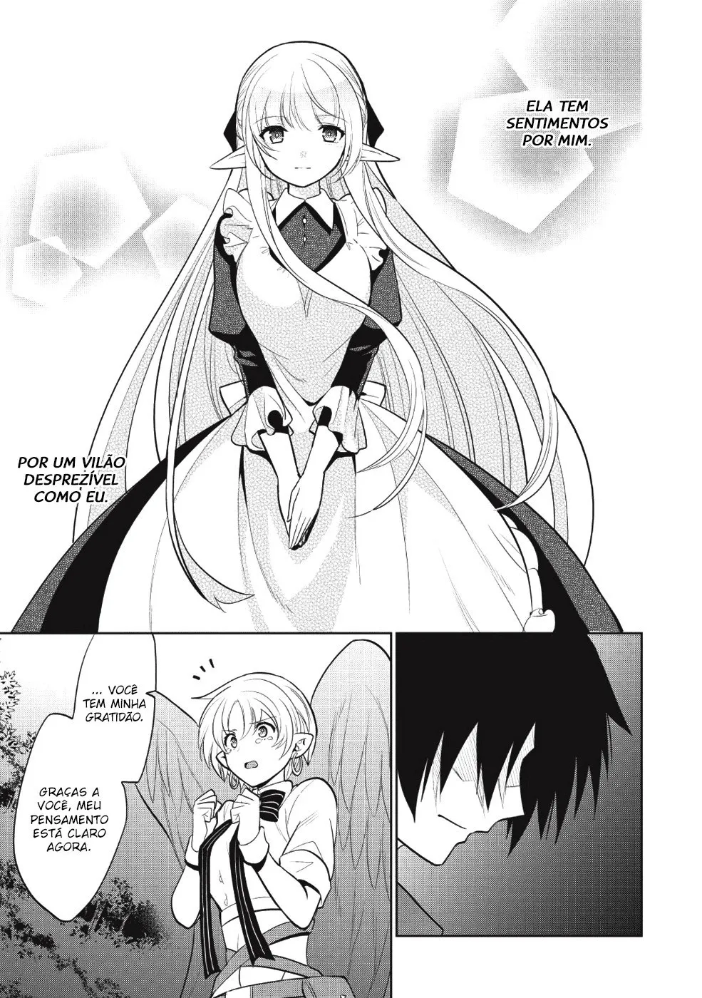 O Mago Malvado e a Elfa Escrava: Um Amor Implacável capitulo 11 pagina 12