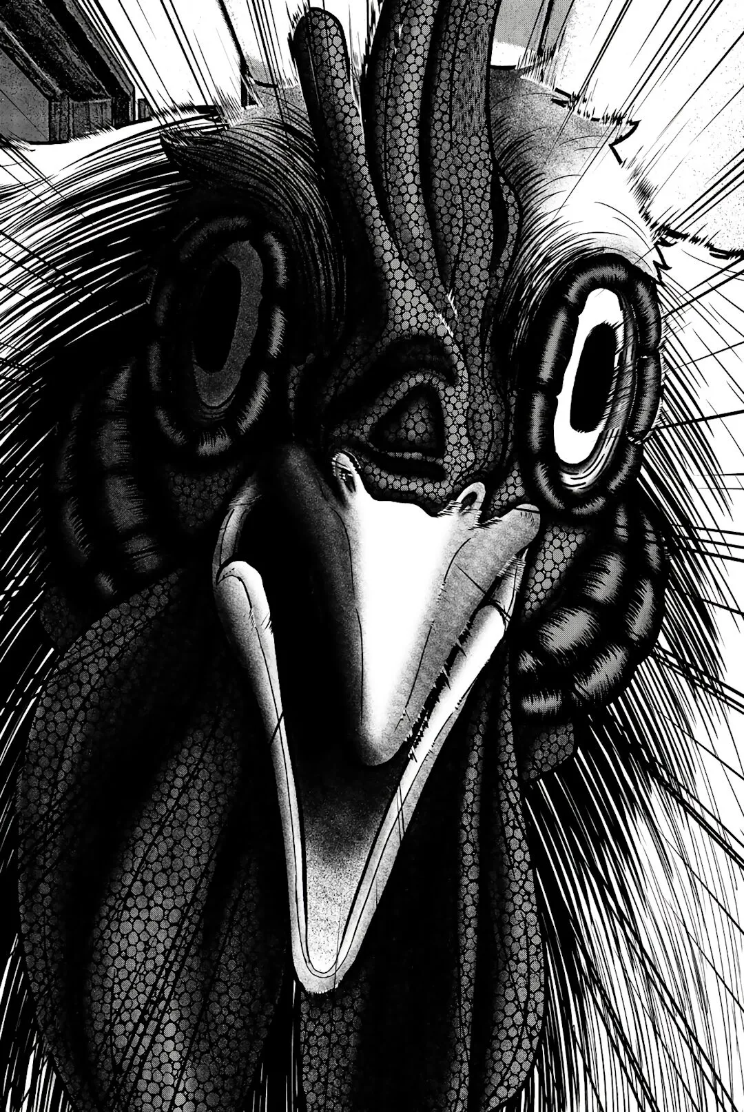 O Rei das Galinhas: O Orfanato AmeaÃ§ado capitulo 12 pagina 19