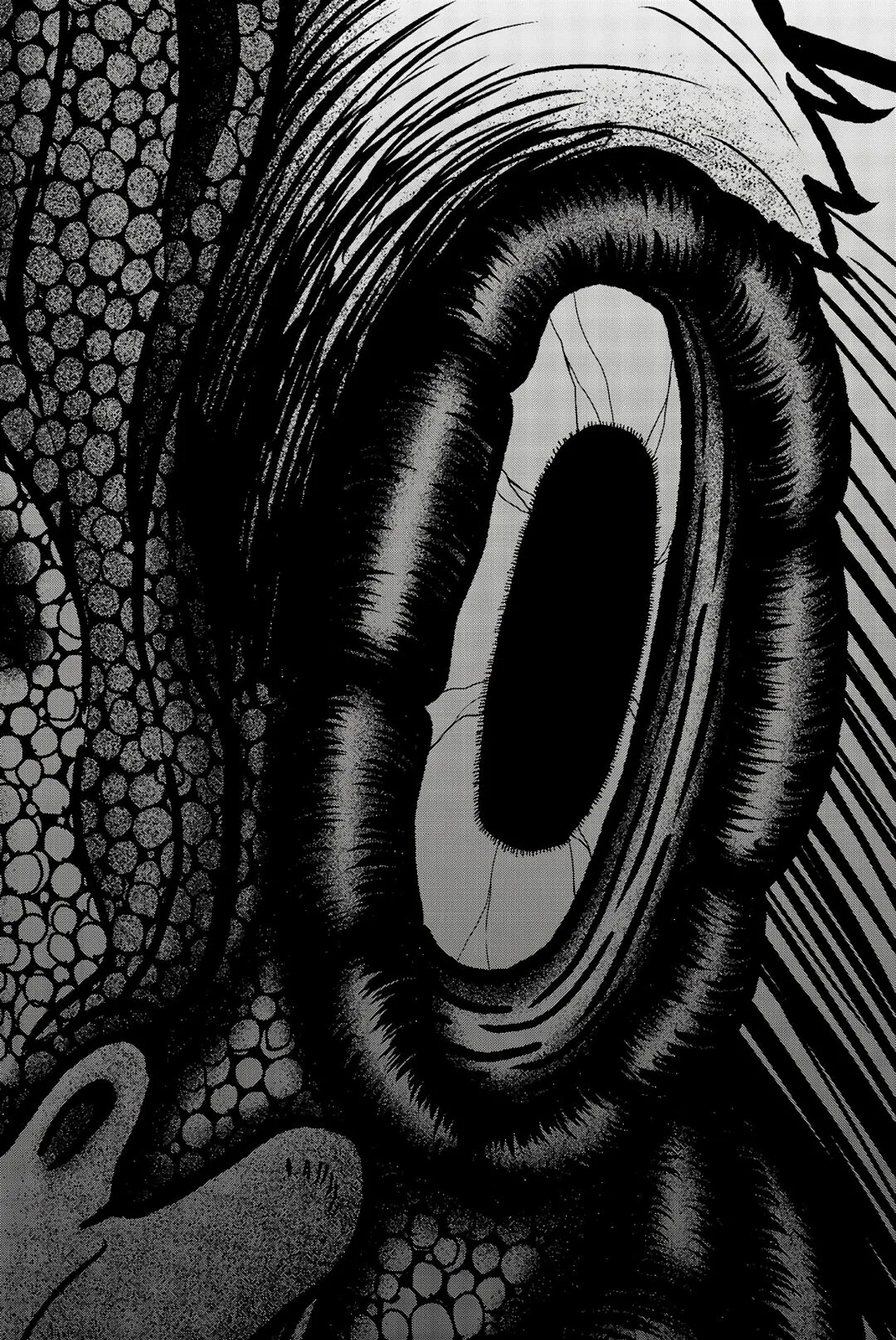 O Rei das Galinhas: O Orfanato AmeaÃ§ado capitulo 12 pagina 20